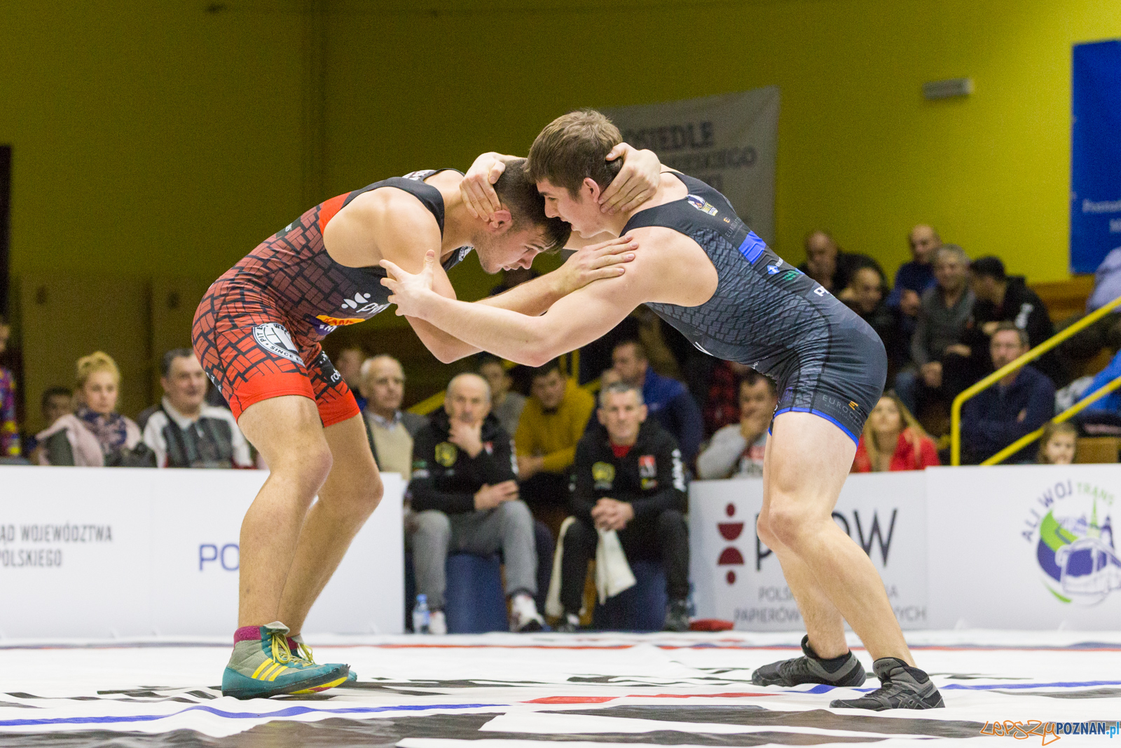 WZS WKS Grunwald – KS Sobieski Poznań - Boruta-Olimpijczyk Wr Foto: lepszyPOZNAN.pl/Piotr Rychter WZS WKS Grunwald – KS Sobieski Poznań - Boruta-Olimpijczyk Wr Foto: lepszyPOZNAN.pl/Piotr Rychter