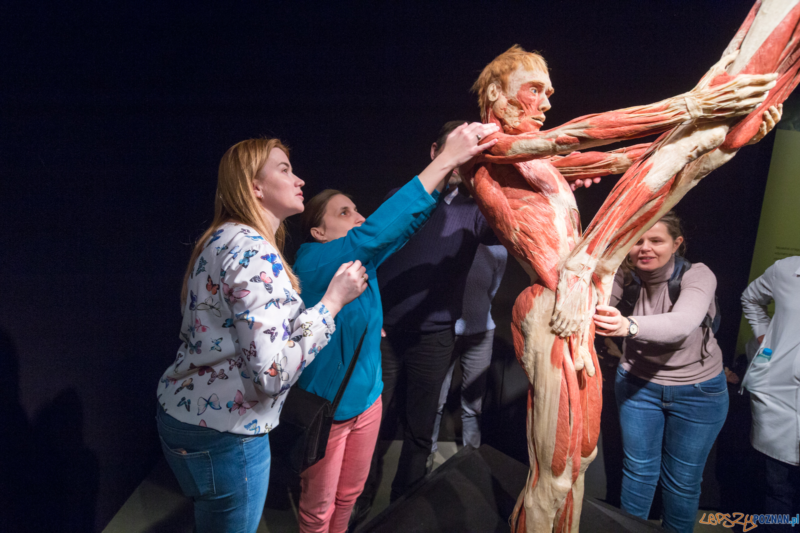Body Worlds Foto: lepszyPOZNAN.pl/Piotr Rychter Body Worlds Foto: lepszyPOZNAN.pl/Piotr Rychter