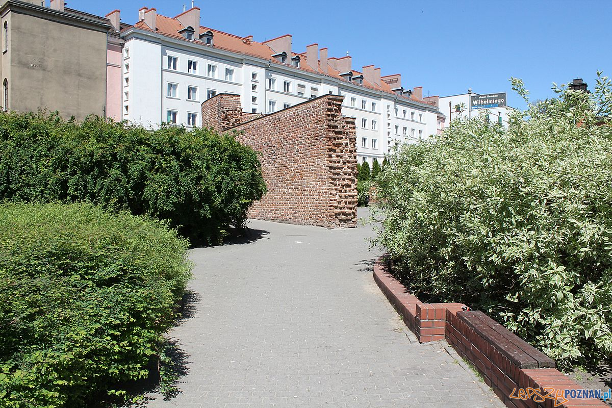 Skwer Wilhelmiego Foto: T. Dworek / ROSM Skwer Wilhelmiego Foto: T. Dworek / ROSM