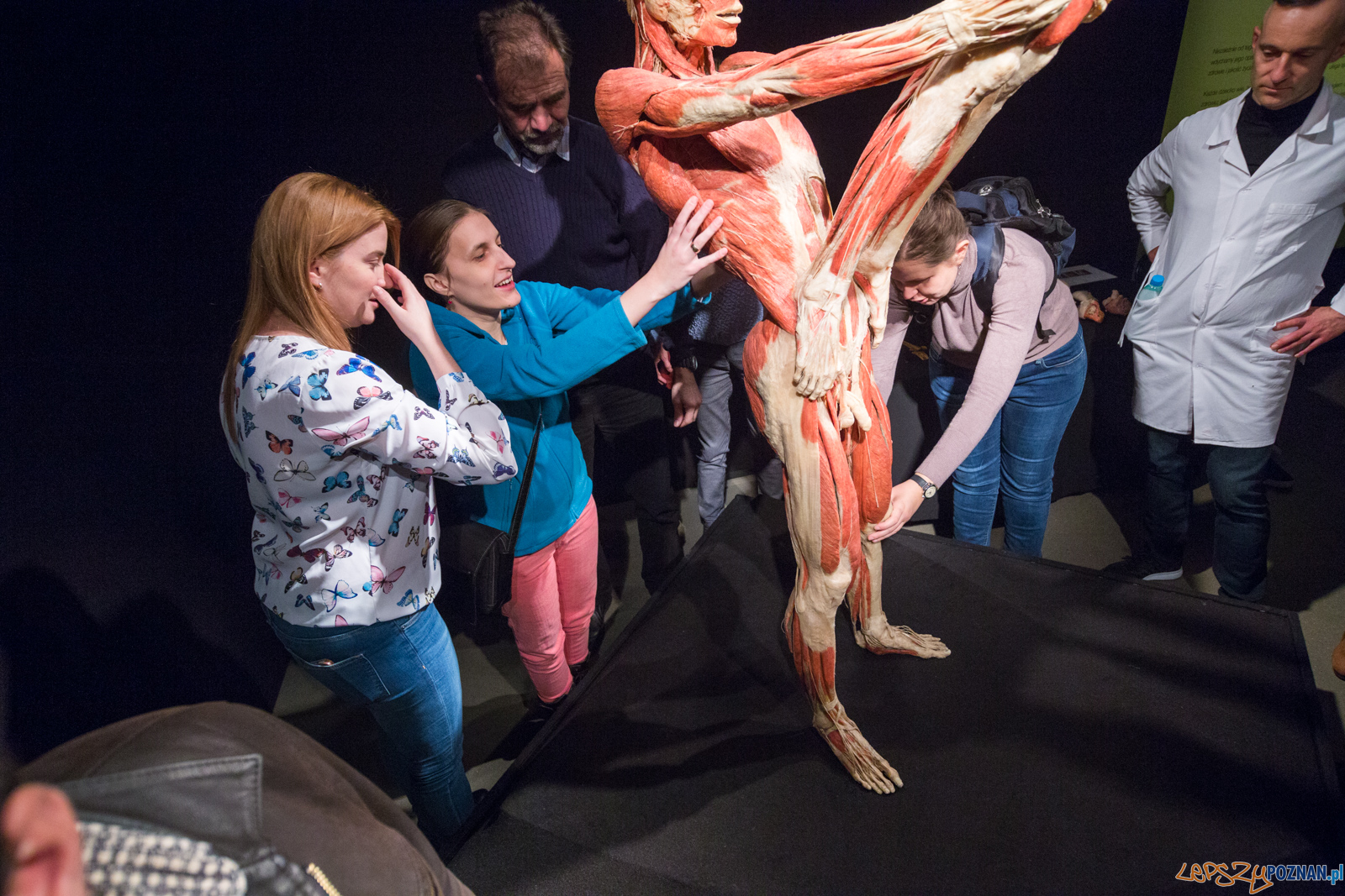 Body Worlds Foto: lepszyPOZNAN.pl/Piotr Rychter Body Worlds Foto: lepszyPOZNAN.pl/Piotr Rychter