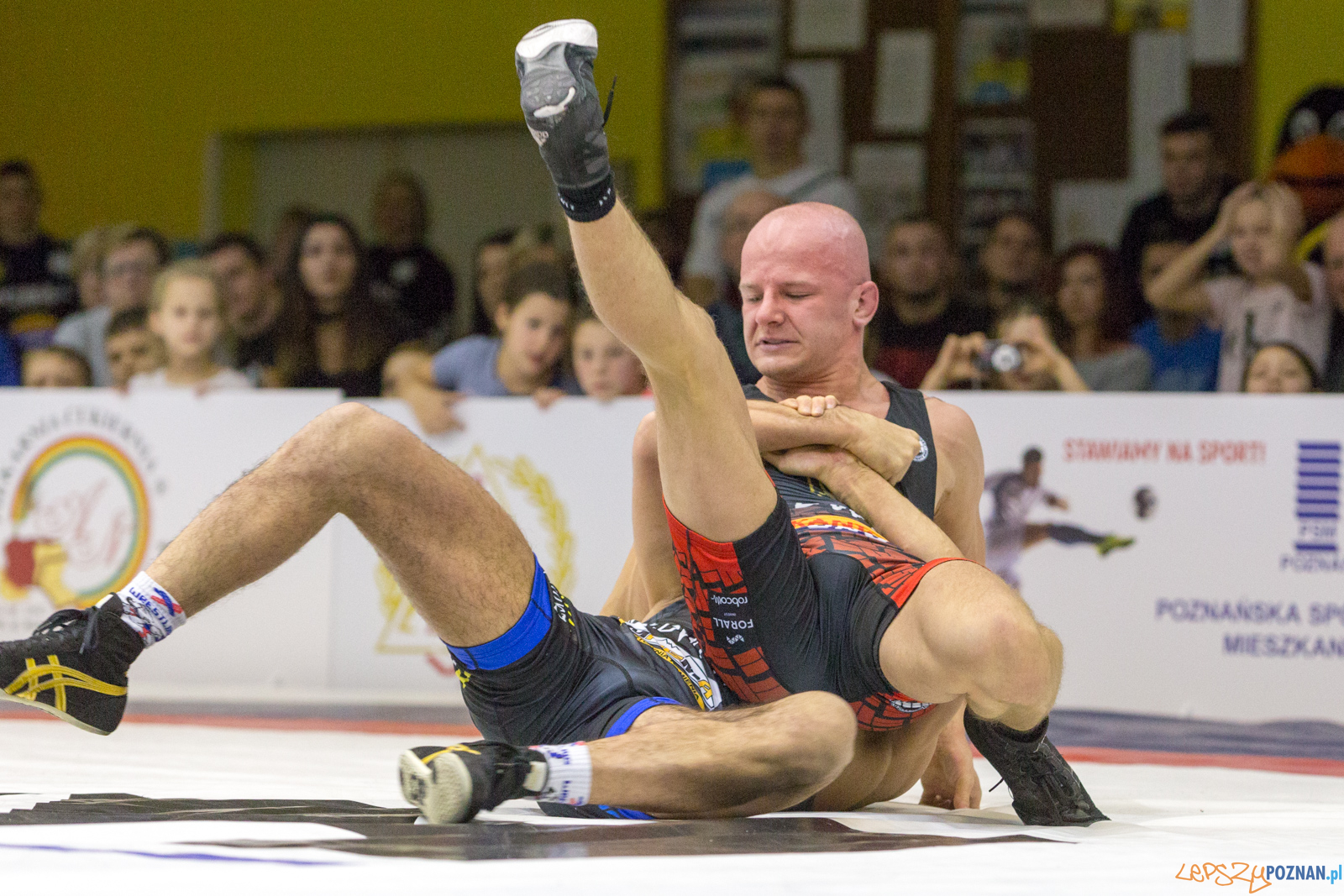 WZS WKS Grunwald – KS Sobieski Poznań - Boruta-Olimpijczyk Wr Foto: lepszyPOZNAN.pl/Piotr Rychter WZS WKS Grunwald – KS Sobieski Poznań - Boruta-Olimpijczyk Wr Foto: lepszyPOZNAN.pl/Piotr Rychter