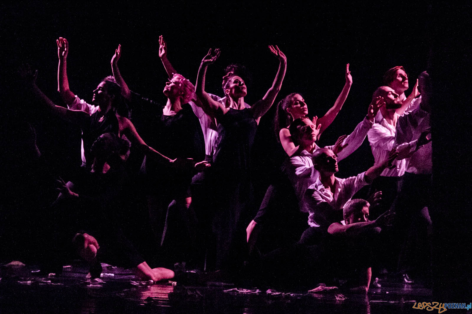 Czterdzieści Foto: lepszyPOZNAN.pl / Ewelina Jaskowiak Czterdzieści Foto: lepszyPOZNAN.pl / Ewelina Jaskowiak