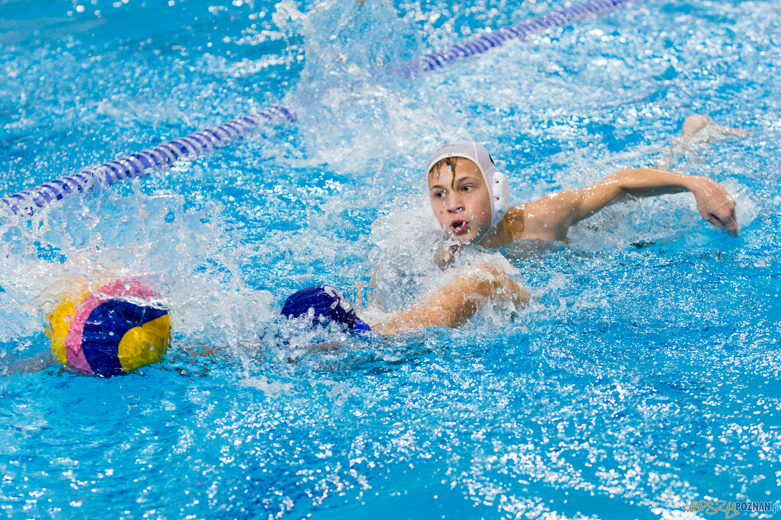 Junior Malta Waterpolo Cup 2017 Foto: lepszyPOZNAN.pl/Piotr Rychter Junior Malta Waterpolo Cup 2017 Foto: lepszyPOZNAN.pl/Piotr Rychter