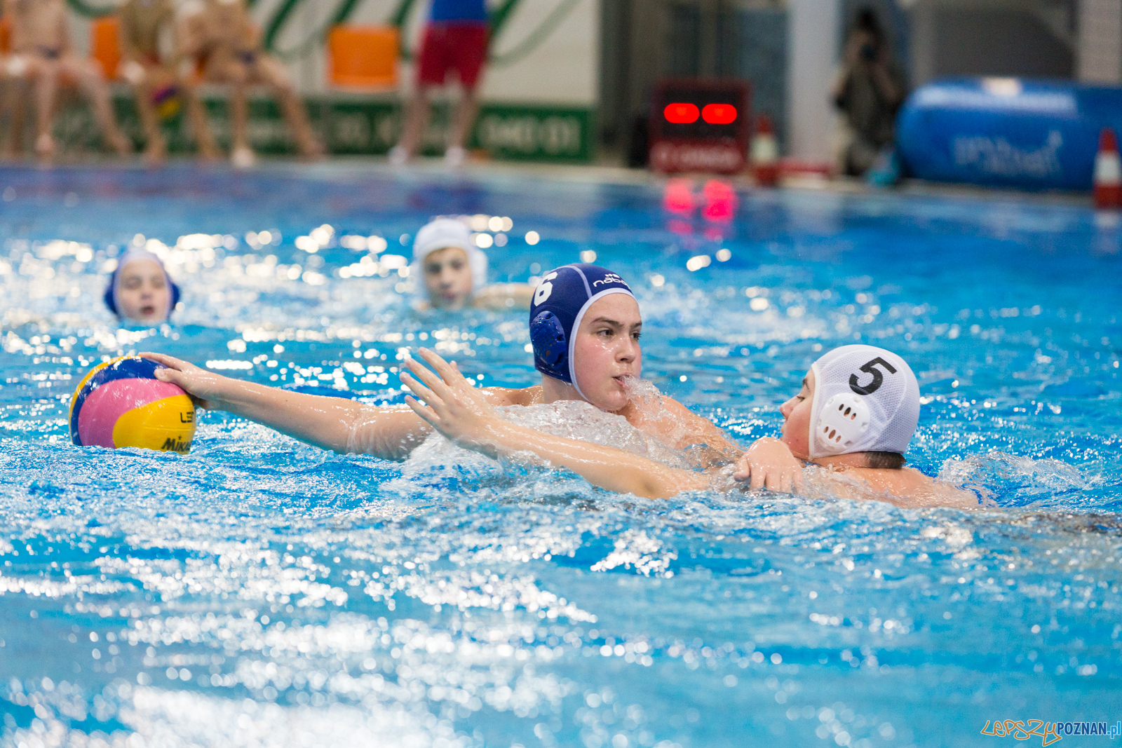 Junior Malta Waterpolo Cup 2017 Foto: lepszyPOZNAN.pl/Piotr Rychter Junior Malta Waterpolo Cup 2017 Foto: lepszyPOZNAN.pl/Piotr Rychter
