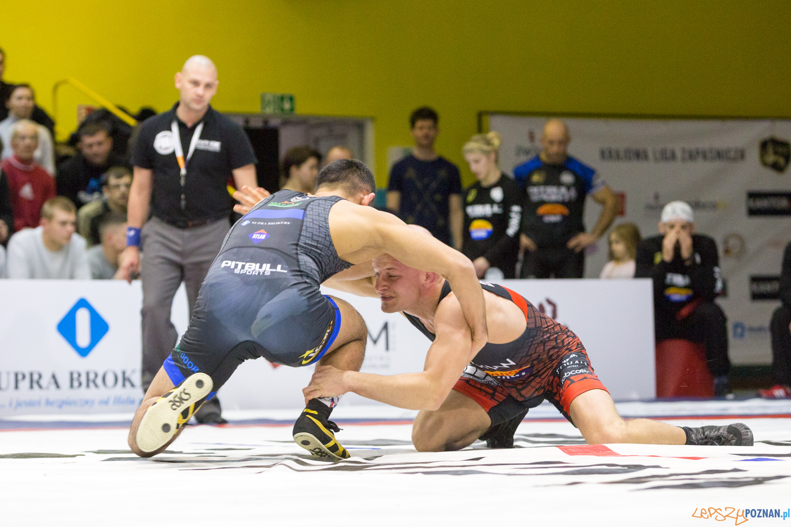 WZS WKS Grunwald – KS Sobieski Poznań - Boruta-Olimpijczyk Wr Foto: lepszyPOZNAN.pl/Piotr Rychter WZS WKS Grunwald – KS Sobieski Poznań - Boruta-Olimpijczyk Wr Foto: lepszyPOZNAN.pl/Piotr Rychter