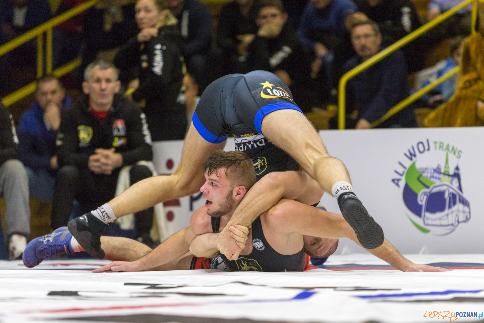 WZS WKS Grunwald – KS Sobieski Poznań - Boruta-Olimpijczyk Wr Foto: lepszyPOZNAN.pl/Piotr Rychter WZS WKS Grunwald – KS Sobieski Poznań - Boruta-Olimpijczyk Wr Foto: lepszyPOZNAN.pl/Piotr Rychter