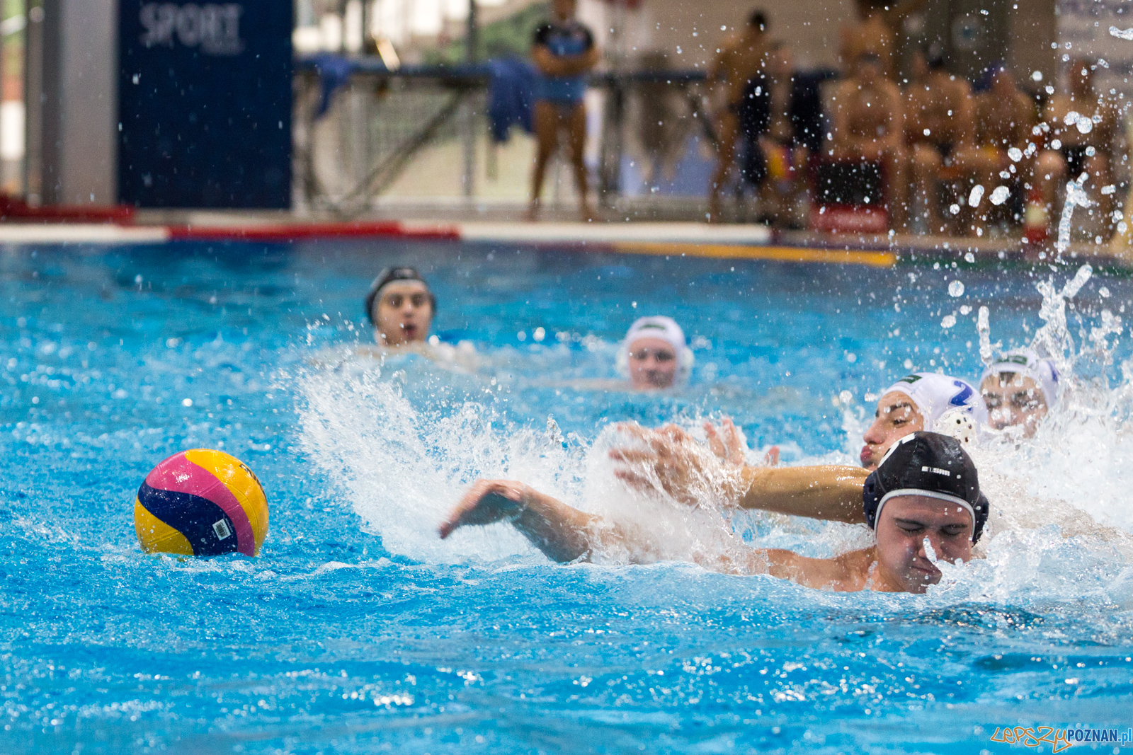 Malta Waterpolo Cup: Alfa Gorzów - Waterpolo Team Wielkopolska Foto: lepszyPOZNAN.pl/Piotr Rychter Malta Waterpolo Cup: Alfa Gorzów - Waterpolo Team Wielkopolska Foto: lepszyPOZNAN.pl/Piotr Rychter