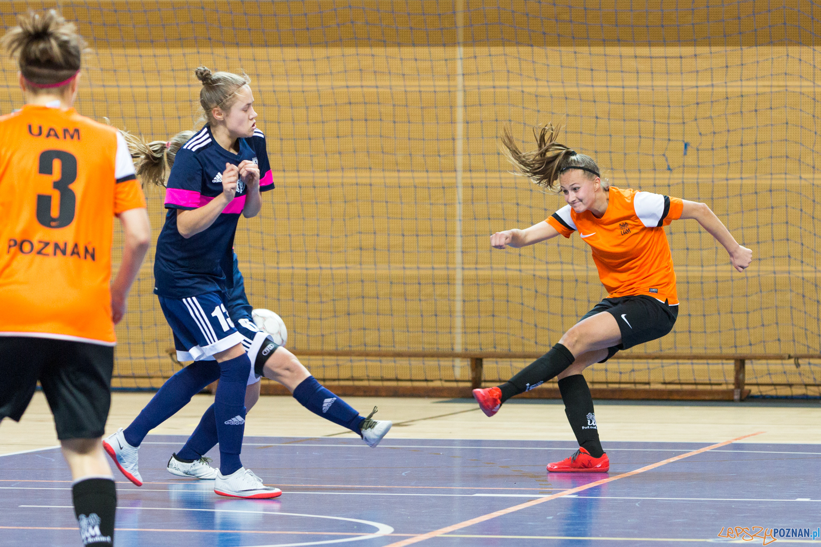 AZS UAM Poznań - AZS AWF Warszawa Foto: lepszyPOZNAN.pl/Piotr Rychter AZS UAM Poznań - AZS AWF Warszawa Foto: lepszyPOZNAN.pl/Piotr Rychter