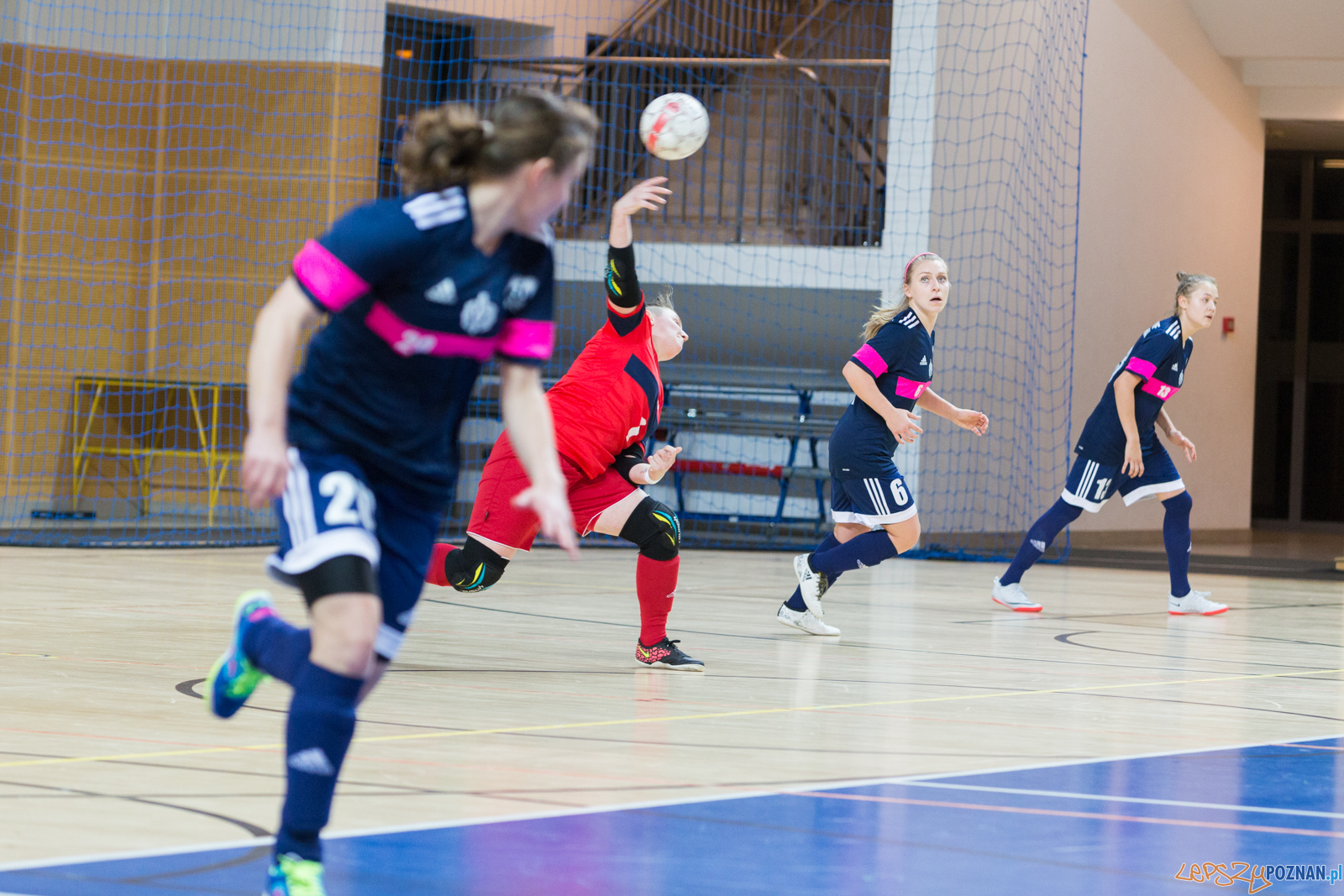 AZS UAM Poznań - AZS AWF Warszawa Foto: lepszyPOZNAN.pl/Piotr Rychter AZS UAM Poznań - AZS AWF Warszawa Foto: lepszyPOZNAN.pl/Piotr Rychter