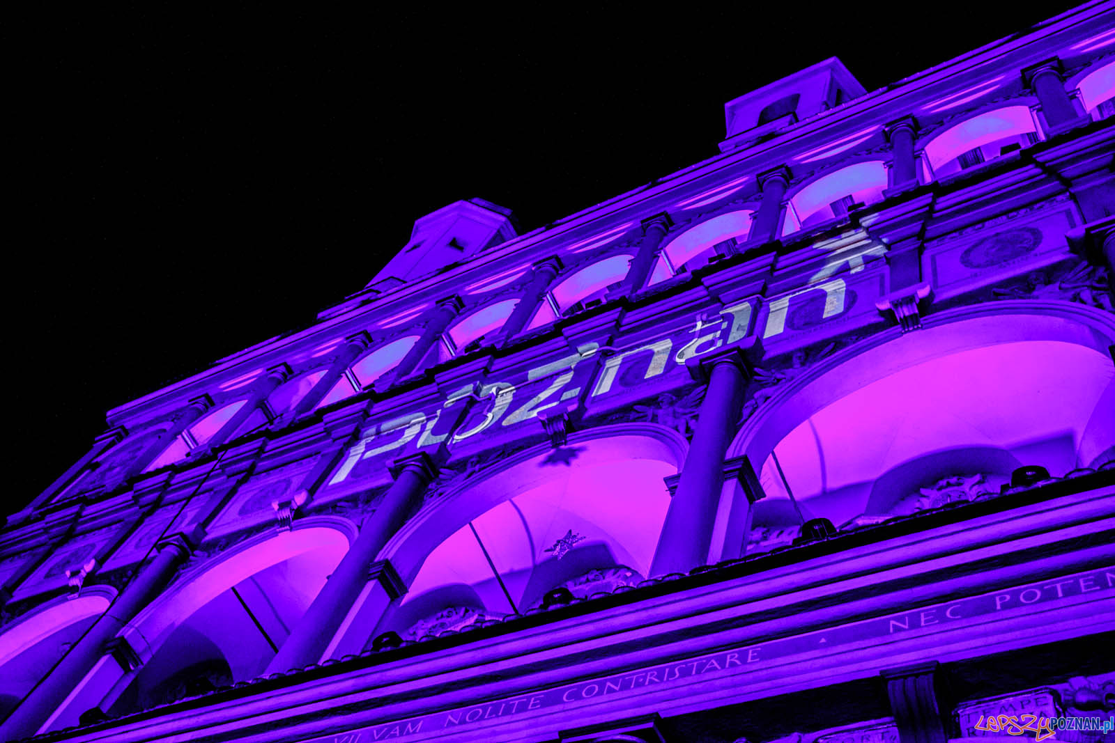 Rozświetlenie choinki miejskiej Foto: lepszyPOZNAN.pl / Ewelina Jaskowiak Rozświetlenie choinki miejskiej Foto: lepszyPOZNAN.pl / Ewelina Jaskowiak