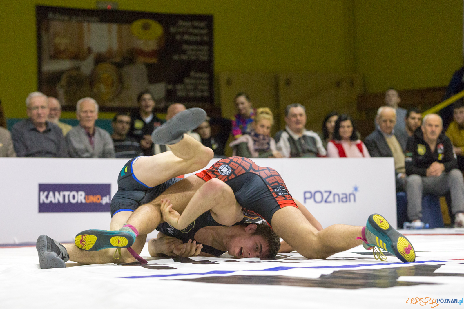 WZS WKS Grunwald – KS Sobieski Poznań - Boruta-Olimpijczyk Wr Foto: lepszyPOZNAN.pl/Piotr Rychter WZS WKS Grunwald – KS Sobieski Poznań - Boruta-Olimpijczyk Wr Foto: lepszyPOZNAN.pl/Piotr Rychter