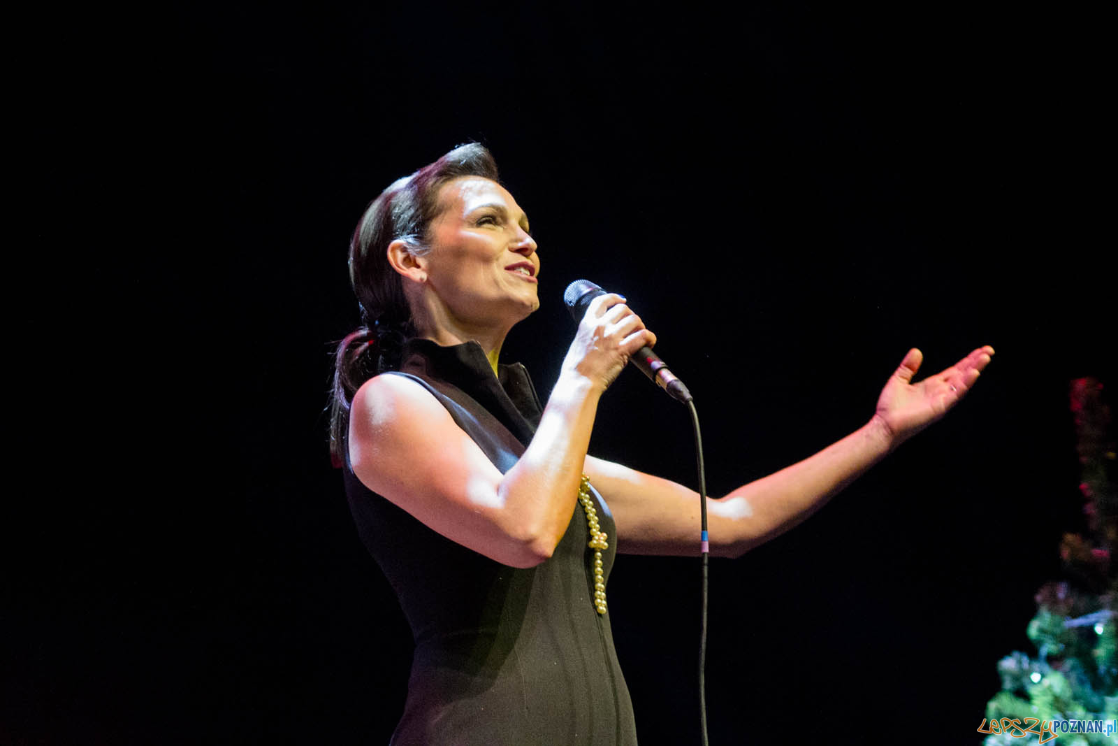 Gwiazdo Świeć, koledo leć Foto: lepszyPOZNAN.pl / Ewelina Jaskowiak Gwiazdo Świeć, koledo leć Foto: lepszyPOZNAN.pl / Ewelina Jaskowiak