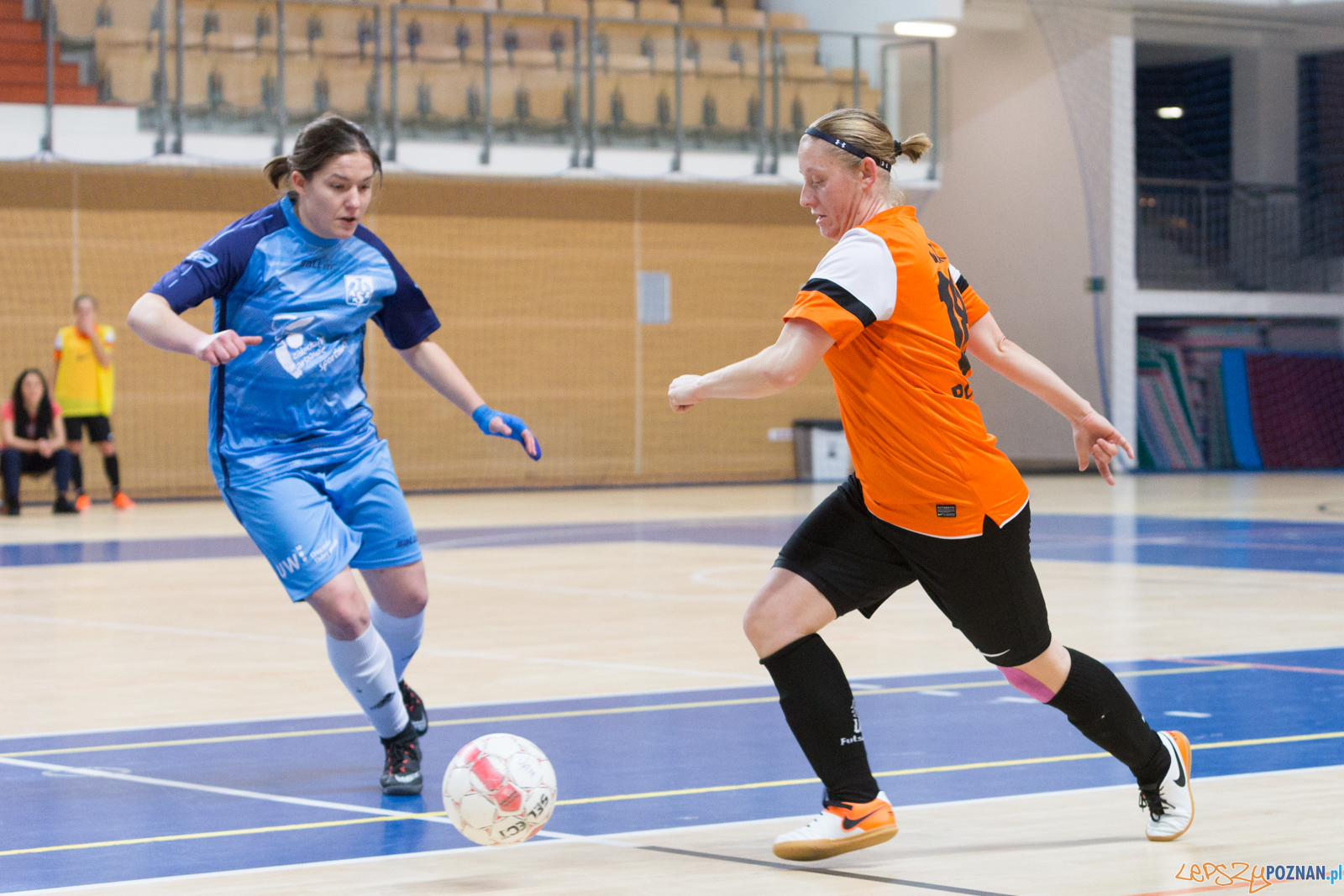 AZS UAM Poznań - AZS UW Warszawa Foto: lepszyPOZNAN.pl/Piotr Rychter AZS UAM Poznań - AZS UW Warszawa Foto: lepszyPOZNAN.pl/Piotr Rychter