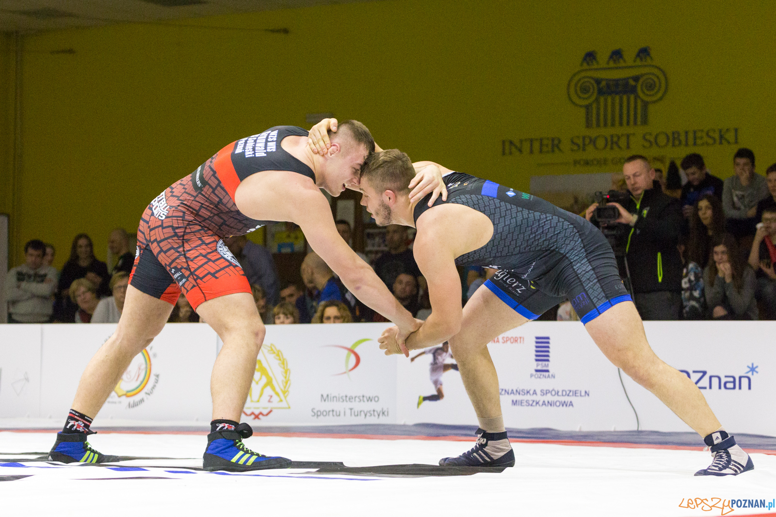 WZS WKS Grunwald – KS Sobieski Poznań - Boruta-Olimpijczyk Wr Foto: lepszyPOZNAN.pl/Piotr Rychter WZS WKS Grunwald – KS Sobieski Poznań - Boruta-Olimpijczyk Wr Foto: lepszyPOZNAN.pl/Piotr Rychter