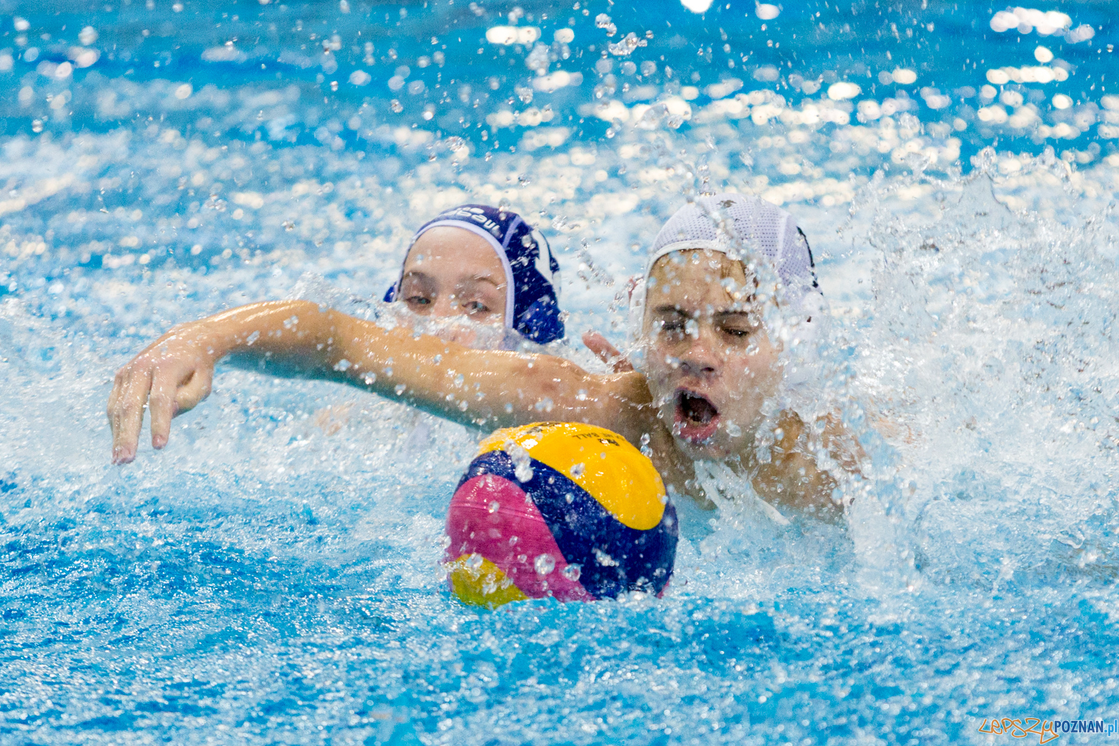 Junior Malta Waterpolo Cup 2017 Foto: lepszyPOZNAN.pl/Piotr Rychter Junior Malta Waterpolo Cup 2017 Foto: lepszyPOZNAN.pl/Piotr Rychter