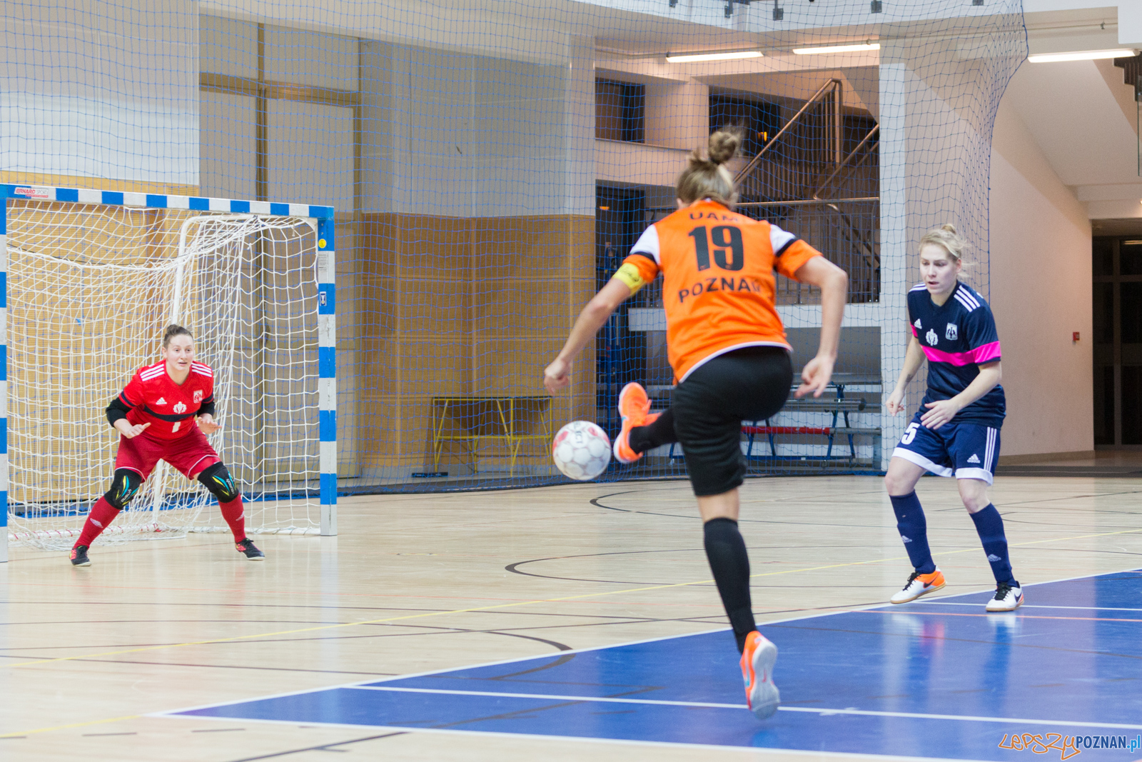 AZS UAM Poznań - AZS AWF Warszawa Foto: lepszyPOZNAN.pl/Piotr Rychter AZS UAM Poznań - AZS AWF Warszawa Foto: lepszyPOZNAN.pl/Piotr Rychter