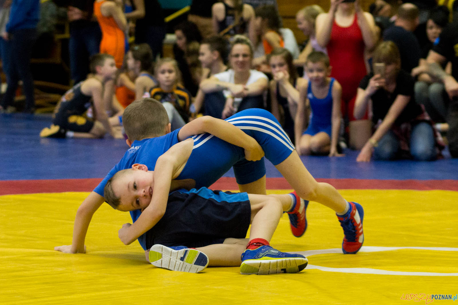 Zapasy z Gwiazdorem Foto: lepszyPOZNAN.pl / Ewelina Jaskowiak Zapasy z Gwiazdorem Foto: lepszyPOZNAN.pl / Ewelina Jaskowiak