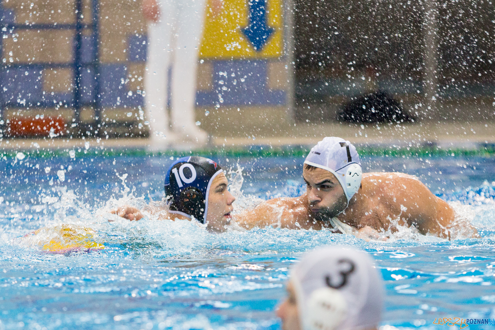Malta Waterpolo Cup 2017 Foto: lepszyPOZNAN.pl/Piotr Rychter Malta Waterpolo Cup 2017 Foto: lepszyPOZNAN.pl/Piotr Rychter