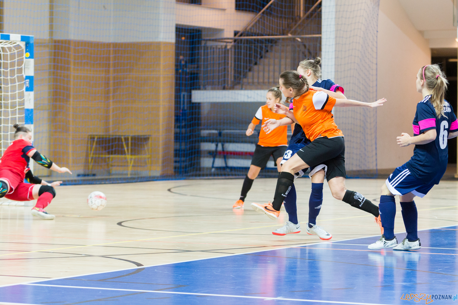 AZS UAM Poznań - AZS AWF Warszawa Foto: lepszyPOZNAN.pl/Piotr Rychter AZS UAM Poznań - AZS AWF Warszawa Foto: lepszyPOZNAN.pl/Piotr Rychter