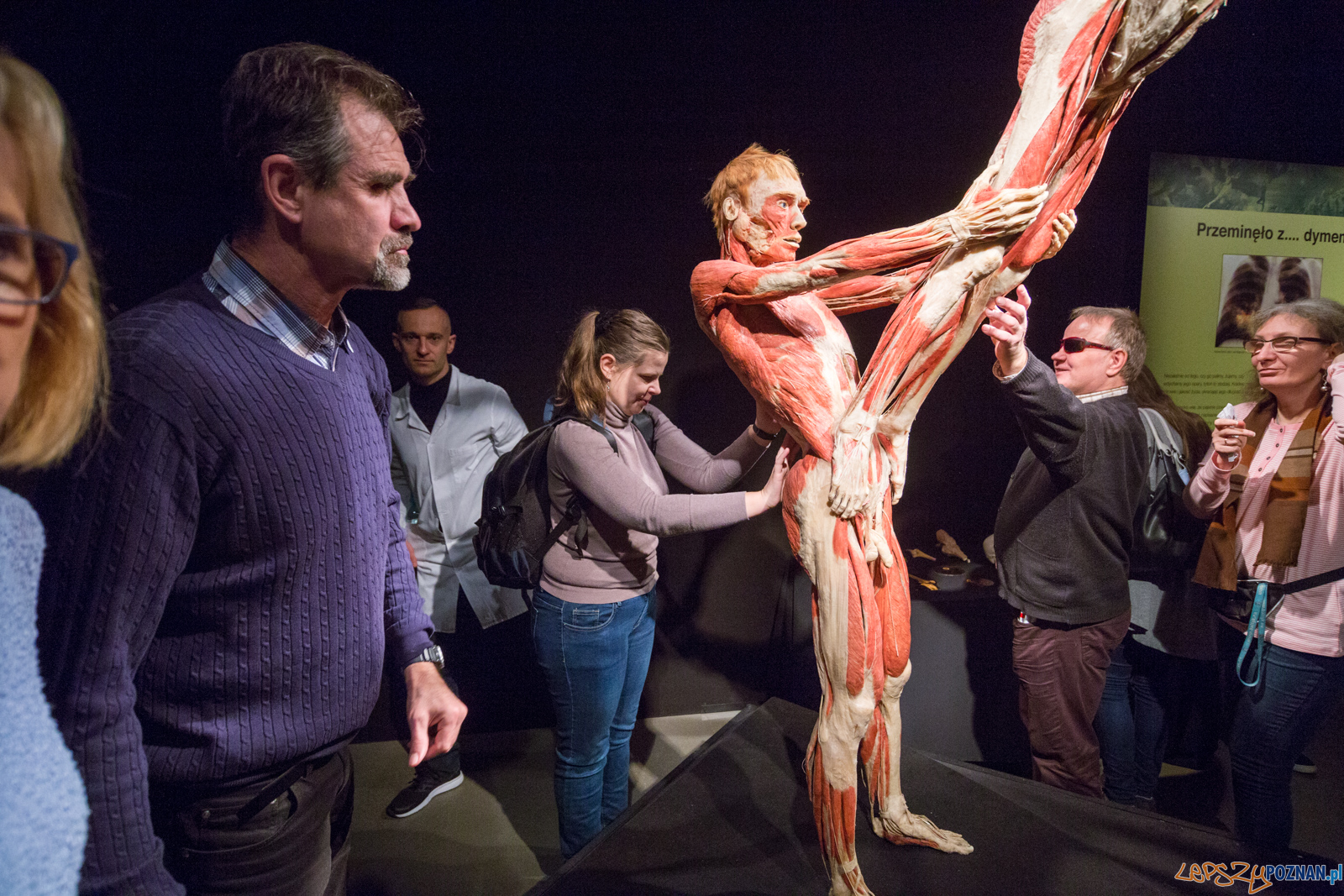 Body Worlds Foto: lepszyPOZNAN.pl/Piotr Rychter Body Worlds Foto: lepszyPOZNAN.pl/Piotr Rychter