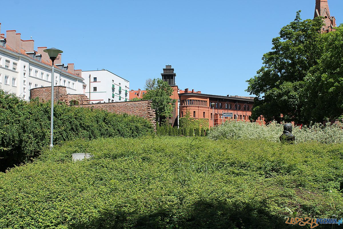 Skwer Wilhelmiego Foto: T. Dworek / ROSM Skwer Wilhelmiego Foto: T. Dworek / ROSM