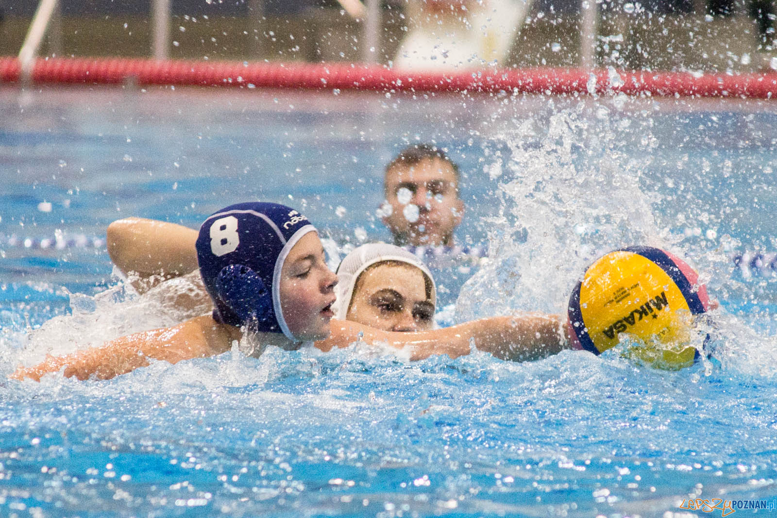 Junior Malta Waterpolo Cup 2017 Foto: lepszyPOZNAN.pl / Ewelina Jaskowiak Junior Malta Waterpolo Cup 2017 Foto: lepszyPOZNAN.pl / Ewelina Jaskowiak