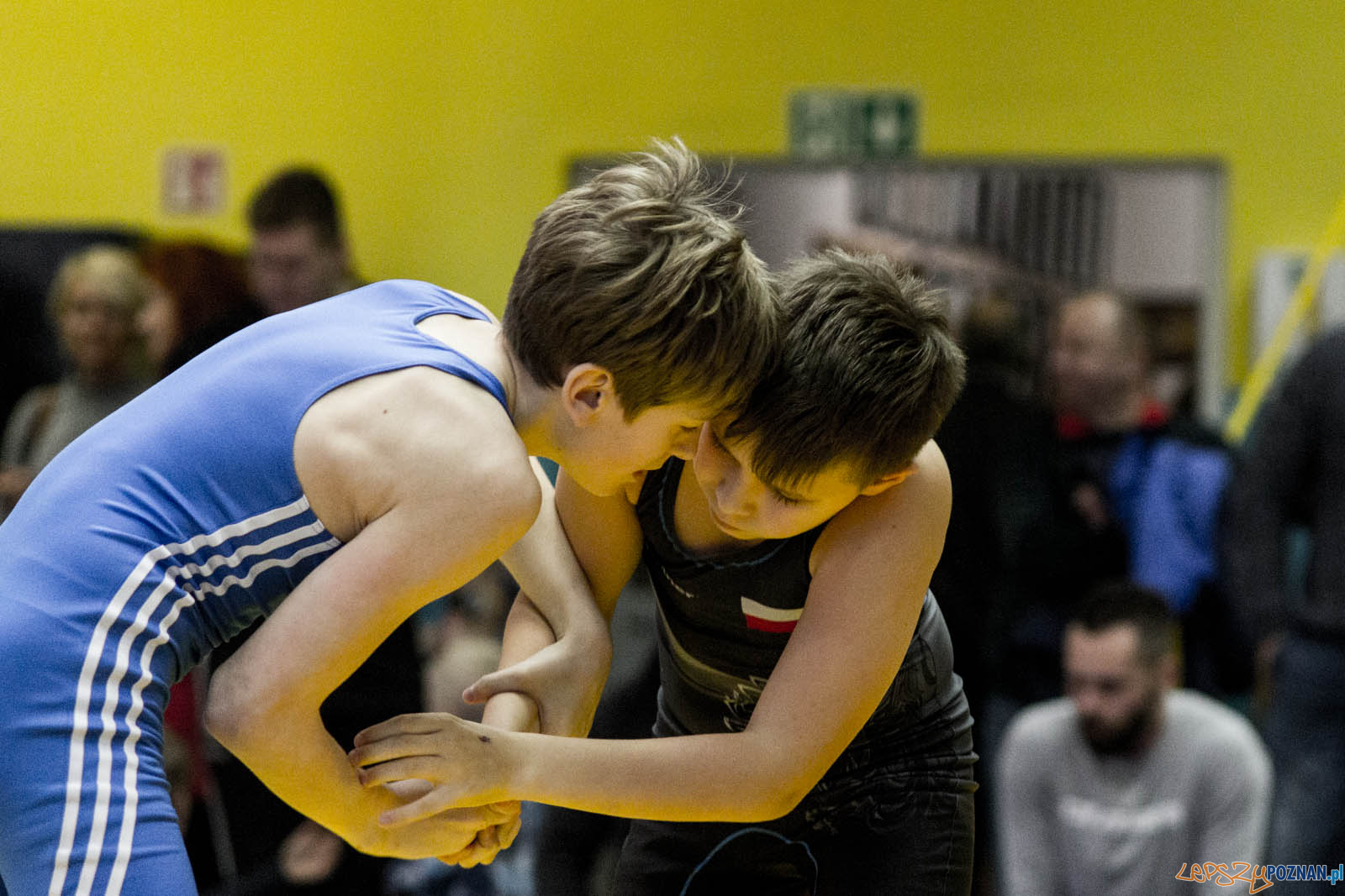 Zapasy z Gwiazdorem Foto: lepszyPOZNAN.pl / Ewelina Jaskowiak Zapasy z Gwiazdorem Foto: lepszyPOZNAN.pl / Ewelina Jaskowiak