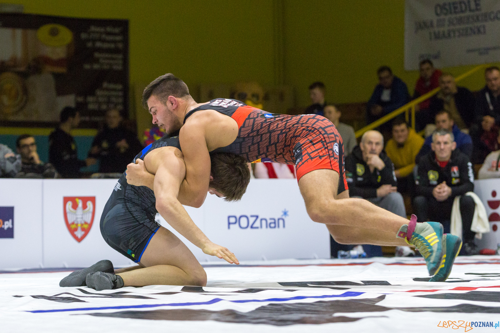 WZS WKS Grunwald – KS Sobieski Poznań - Boruta-Olimpijczyk Wr Foto: lepszyPOZNAN.pl/Piotr Rychter WZS WKS Grunwald – KS Sobieski Poznań - Boruta-Olimpijczyk Wr Foto: lepszyPOZNAN.pl/Piotr Rychter