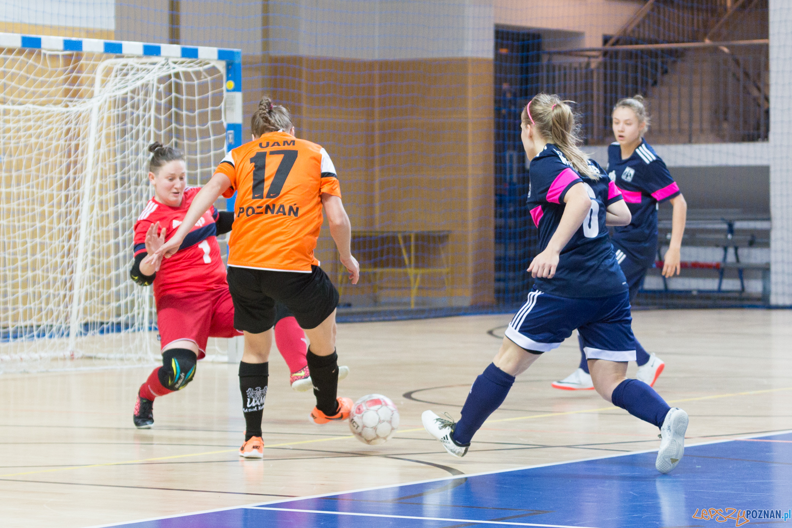 AZS UAM Poznań - AZS AWF Warszawa Foto: lepszyPOZNAN.pl/Piotr Rychter AZS UAM Poznań - AZS AWF Warszawa Foto: lepszyPOZNAN.pl/Piotr Rychter
