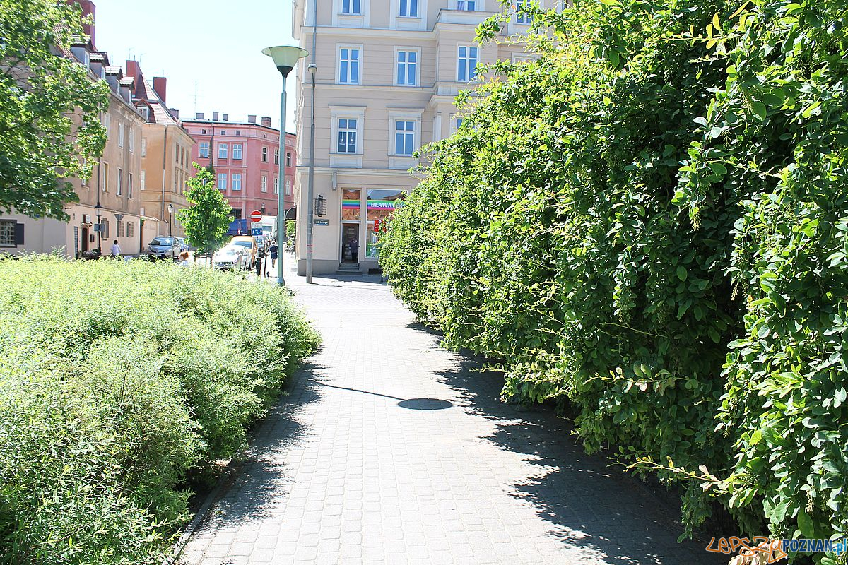 Skwer Wilhelmiego Foto: T. Dworek / ROSM Skwer Wilhelmiego Foto: T. Dworek / ROSM