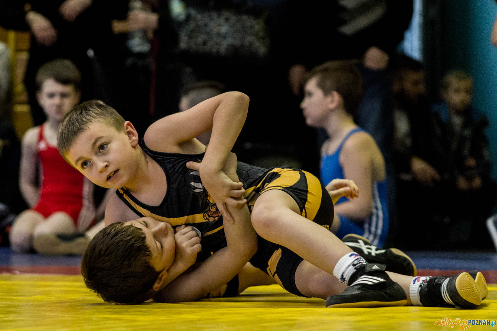 Zapasy z Gwiazdorem Foto: lepszyPOZNAN.pl / Ewelina Jaskowiak Zapasy z Gwiazdorem Foto: lepszyPOZNAN.pl / Ewelina Jaskowiak