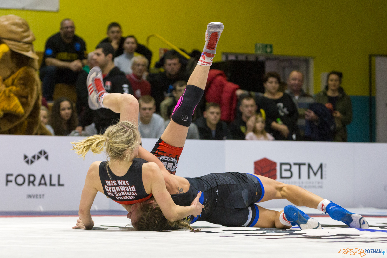 WZS WKS Grunwald – KS Sobieski Poznań - Boruta-Olimpijczyk Wr Foto: lepszyPOZNAN.pl/Piotr Rychter WZS WKS Grunwald – KS Sobieski Poznań - Boruta-Olimpijczyk Wr Foto: lepszyPOZNAN.pl/Piotr Rychter