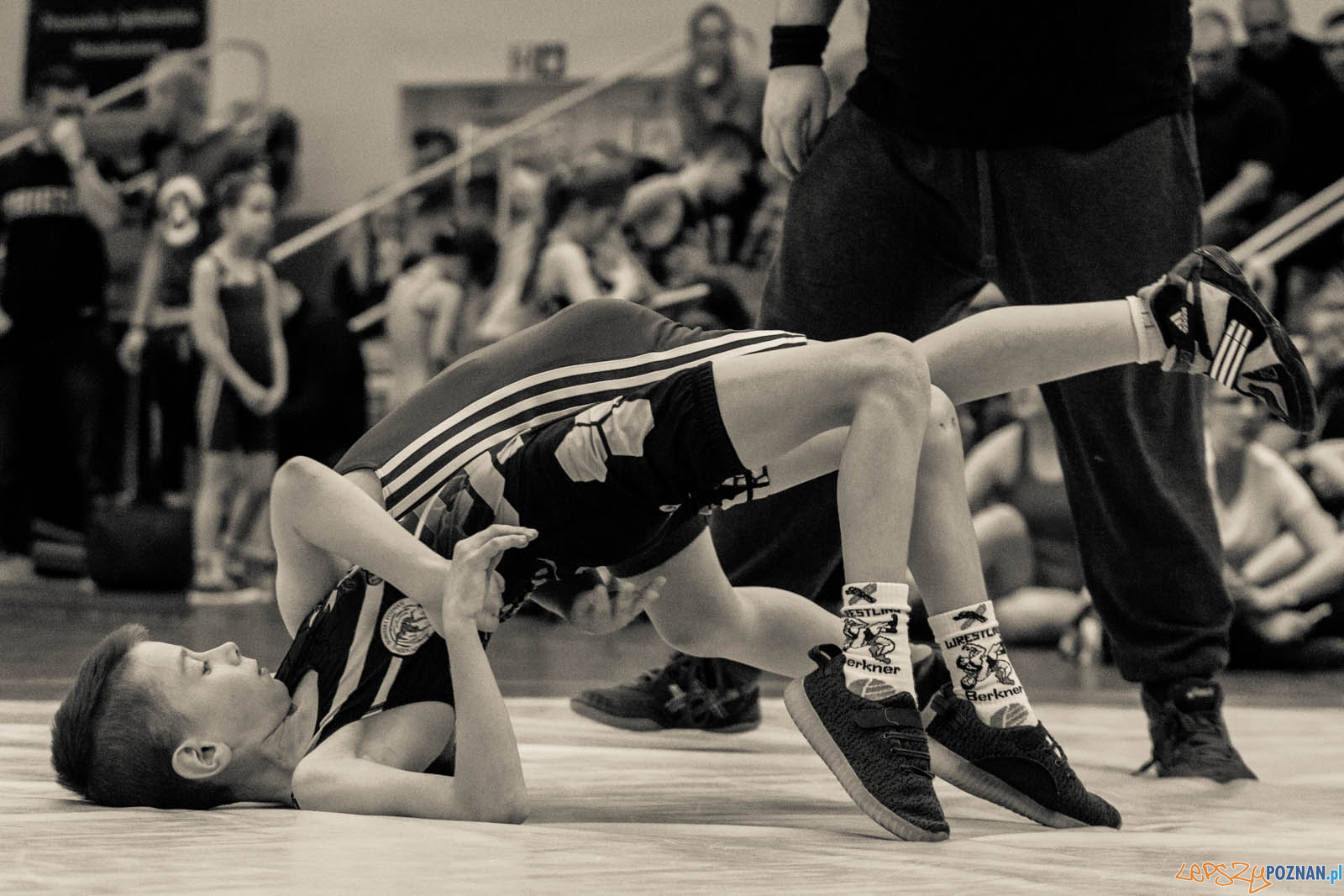 Zapasy z Gwiazdorem Foto: lepszyPOZNAN.pl / Ewelina Jaskowiak Zapasy z Gwiazdorem Foto: lepszyPOZNAN.pl / Ewelina Jaskowiak