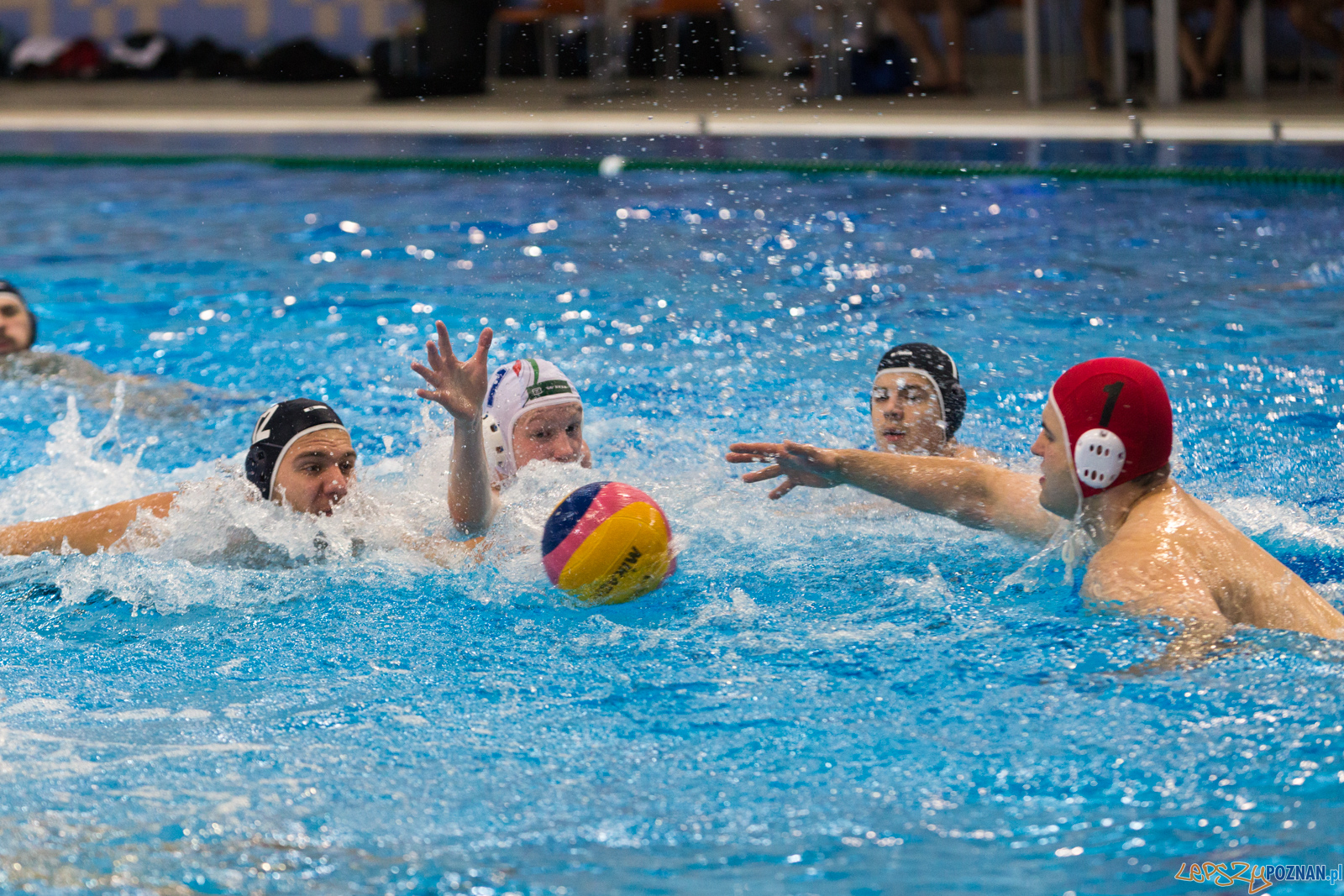 Malta Waterpolo Cup: Alfa Gorzów - Waterpolo Team Wielkopolska Foto: lepszyPOZNAN.pl/Piotr Rychter Malta Waterpolo Cup: Alfa Gorzów - Waterpolo Team Wielkopolska Foto: lepszyPOZNAN.pl/Piotr Rychter