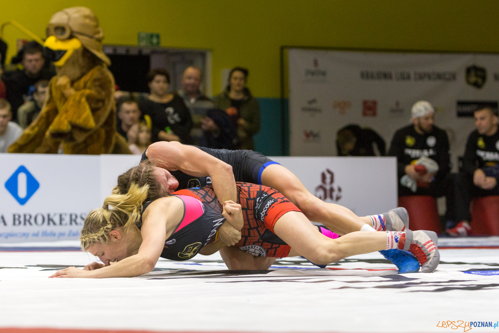 WZS WKS Grunwald – KS Sobieski Poznań - Boruta-Olimpijczyk Wr Foto: lepszyPOZNAN.pl/Piotr Rychter WZS WKS Grunwald – KS Sobieski Poznań - Boruta-Olimpijczyk Wr Foto: lepszyPOZNAN.pl/Piotr Rychter