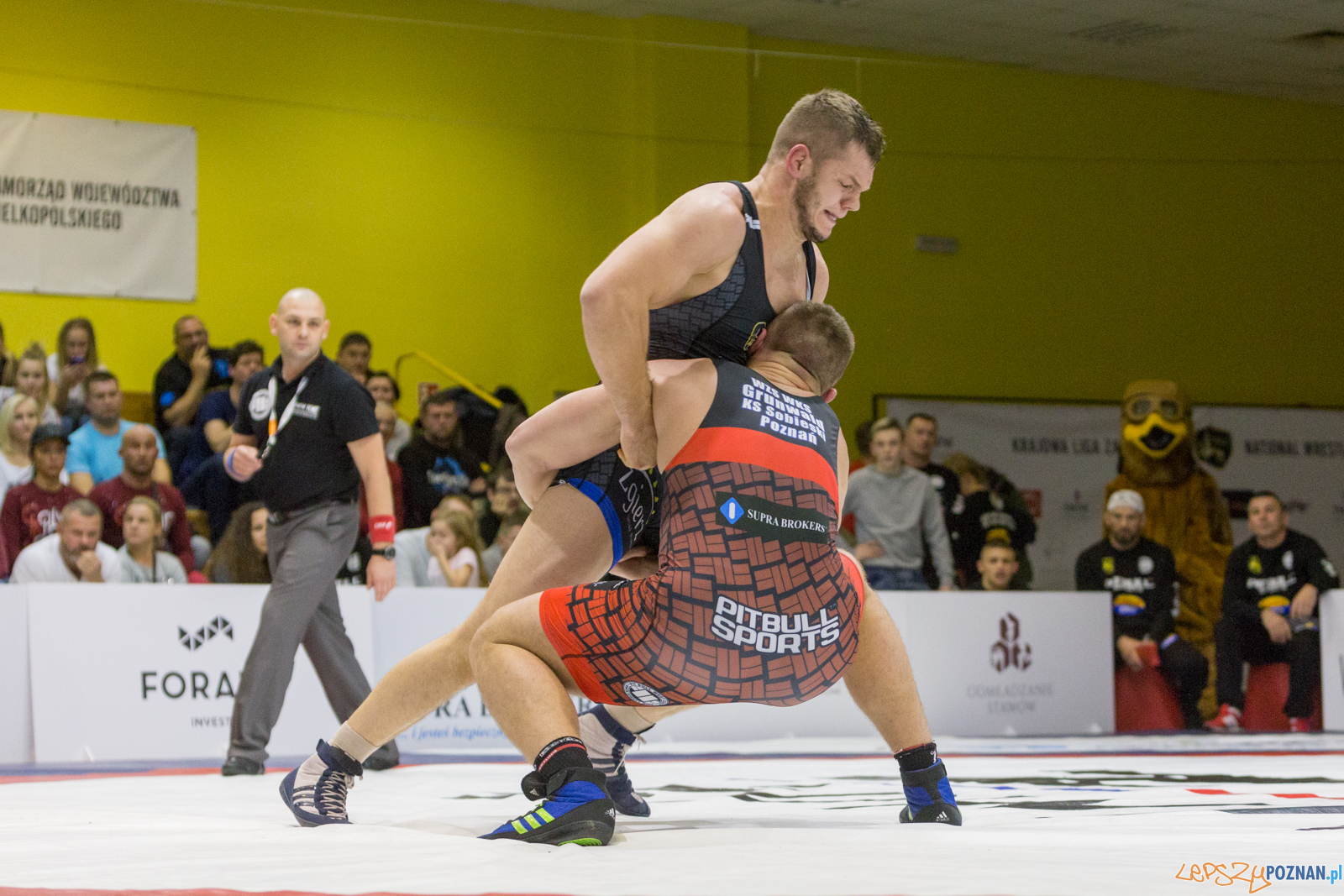 WZS WKS Grunwald – KS Sobieski Poznań - Boruta-Olimpijczyk Wr Foto: lepszyPOZNAN.pl/Piotr Rychter WZS WKS Grunwald – KS Sobieski Poznań - Boruta-Olimpijczyk Wr Foto: lepszyPOZNAN.pl/Piotr Rychter