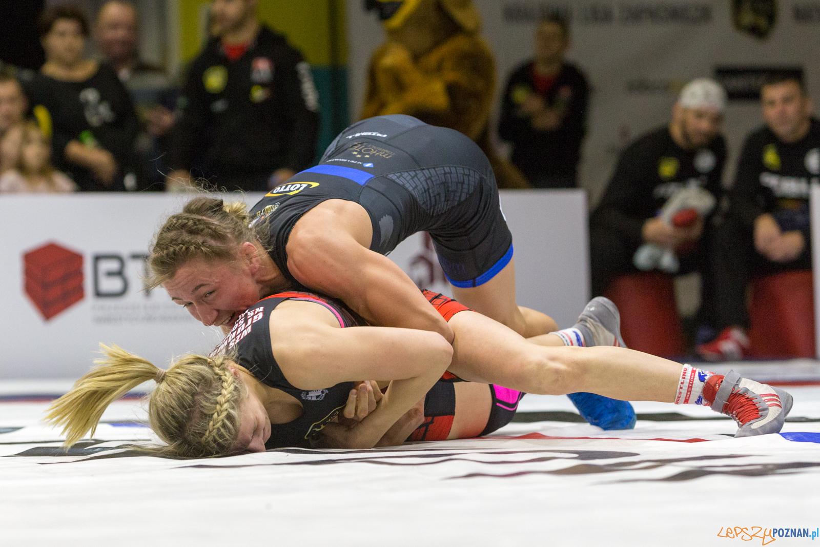 WZS WKS Grunwald – KS Sobieski Poznań - Boruta-Olimpijczyk Wr Foto: lepszyPOZNAN.pl/Piotr Rychter WZS WKS Grunwald – KS Sobieski Poznań - Boruta-Olimpijczyk Wr Foto: lepszyPOZNAN.pl/Piotr Rychter