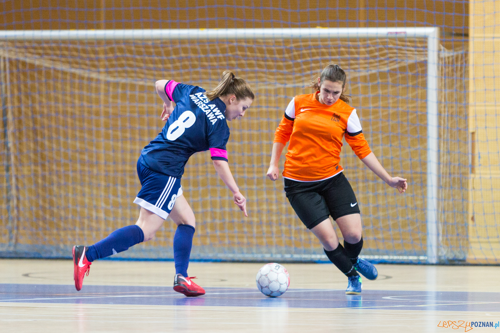 AZS UAM Poznań - AZS AWF Warszawa Foto: lepszyPOZNAN.pl/Piotr Rychter AZS UAM Poznań - AZS AWF Warszawa Foto: lepszyPOZNAN.pl/Piotr Rychter