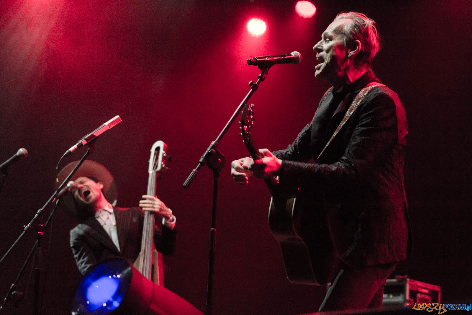 Wojtek Mazolewski Foto: lepszyPOZNAN.pl / Ewelina Jaskowiak Wojtek Mazolewski Foto: lepszyPOZNAN.pl / Ewelina Jaskowiak