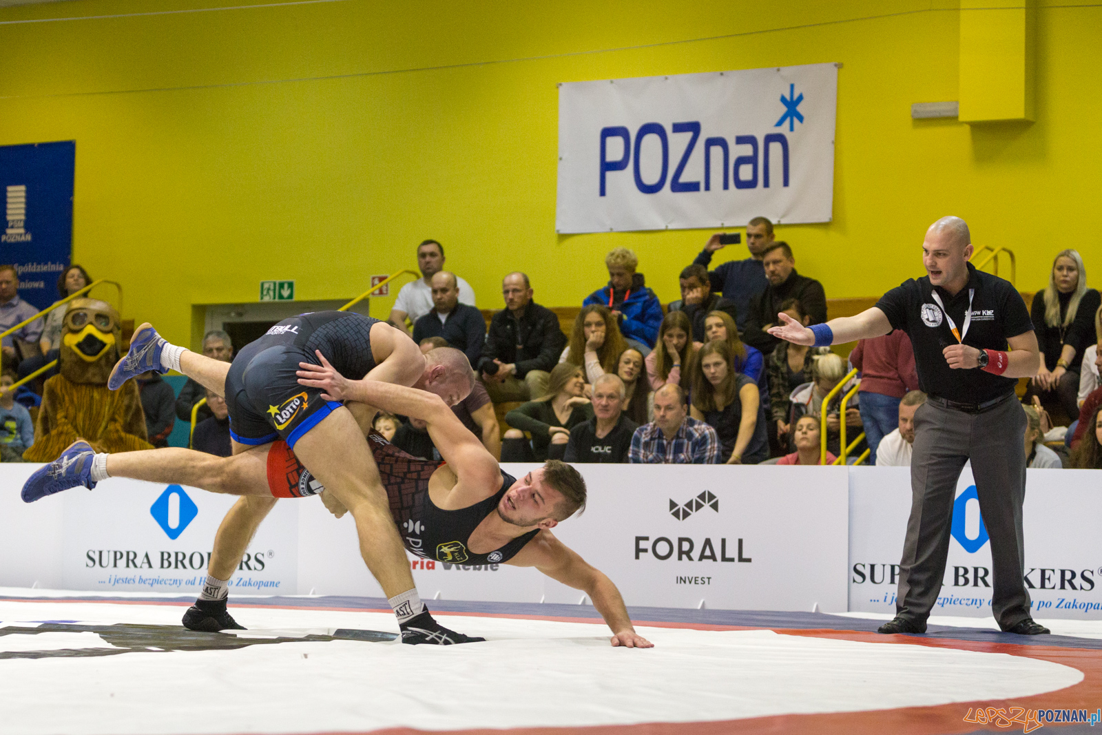 WZS WKS Grunwald – KS Sobieski Poznań - Boruta-Olimpijczyk Wr Foto: lepszyPOZNAN.pl/Piotr Rychter WZS WKS Grunwald – KS Sobieski Poznań - Boruta-Olimpijczyk Wr Foto: lepszyPOZNAN.pl/Piotr Rychter