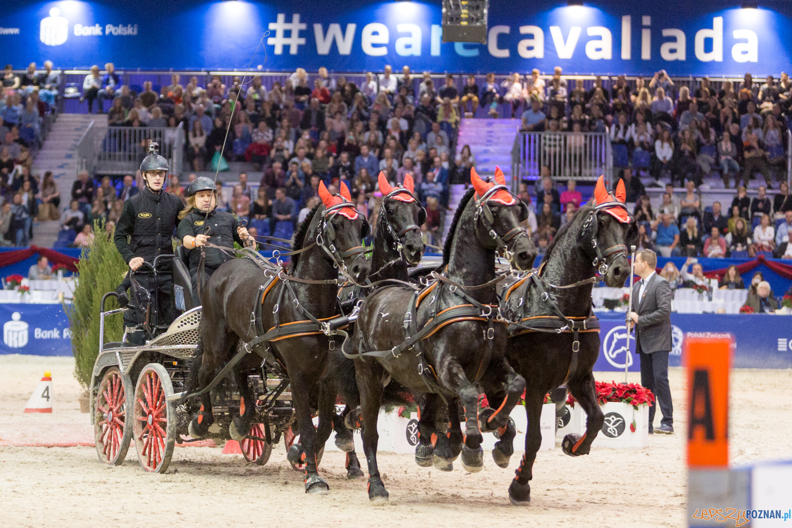 Cavaliada 2017 Foto: lepszyPOZNAN.pl/Piotr Rychter Cavaliada 2017 Foto: lepszyPOZNAN.pl/Piotr Rychter