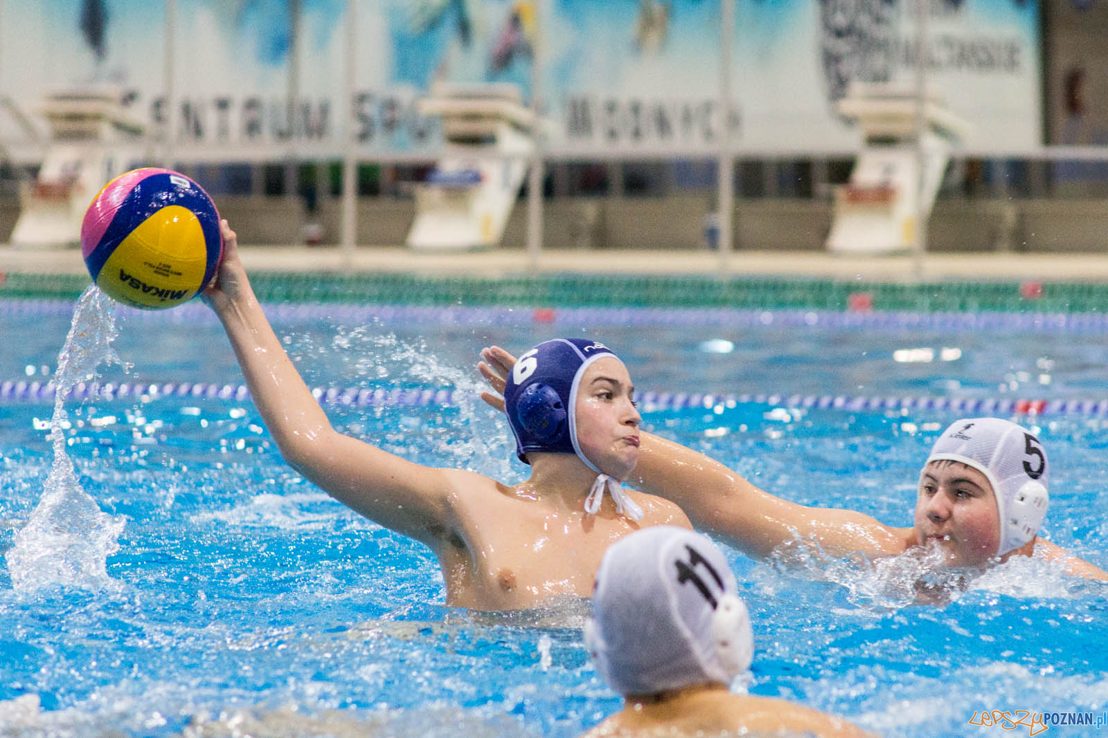 Junior Malta Waterpolo Cup 2017 Foto: lepszyPOZNAN.pl / Ewelina Jaskowiak Junior Malta Waterpolo Cup 2017 Foto: lepszyPOZNAN.pl / Ewelina Jaskowiak