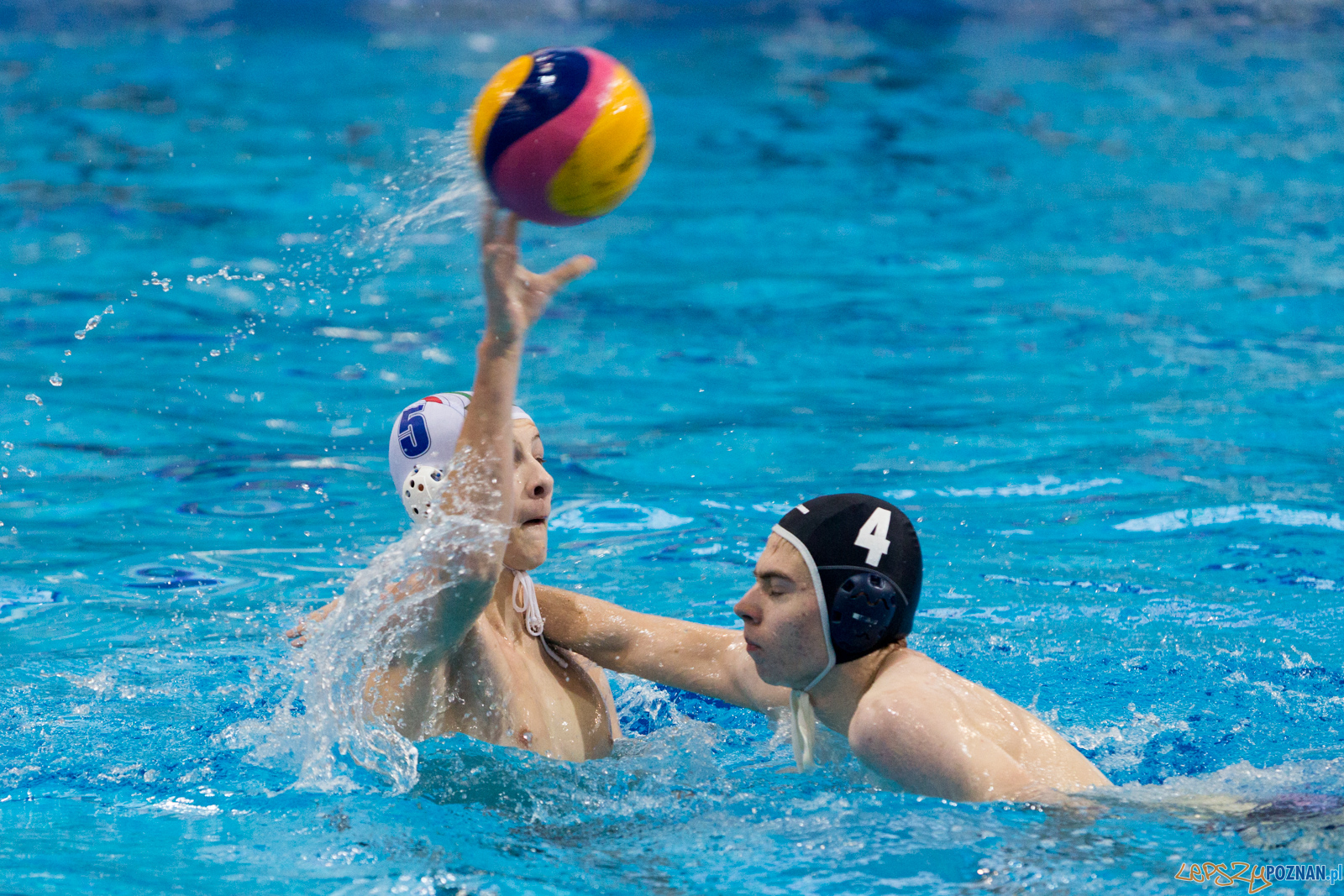 Malta Waterpolo Cup: Alfa Gorzów - Waterpolo Team Wielkopolska Foto: lepszyPOZNAN.pl/Piotr Rychter Malta Waterpolo Cup: Alfa Gorzów - Waterpolo Team Wielkopolska Foto: lepszyPOZNAN.pl/Piotr Rychter