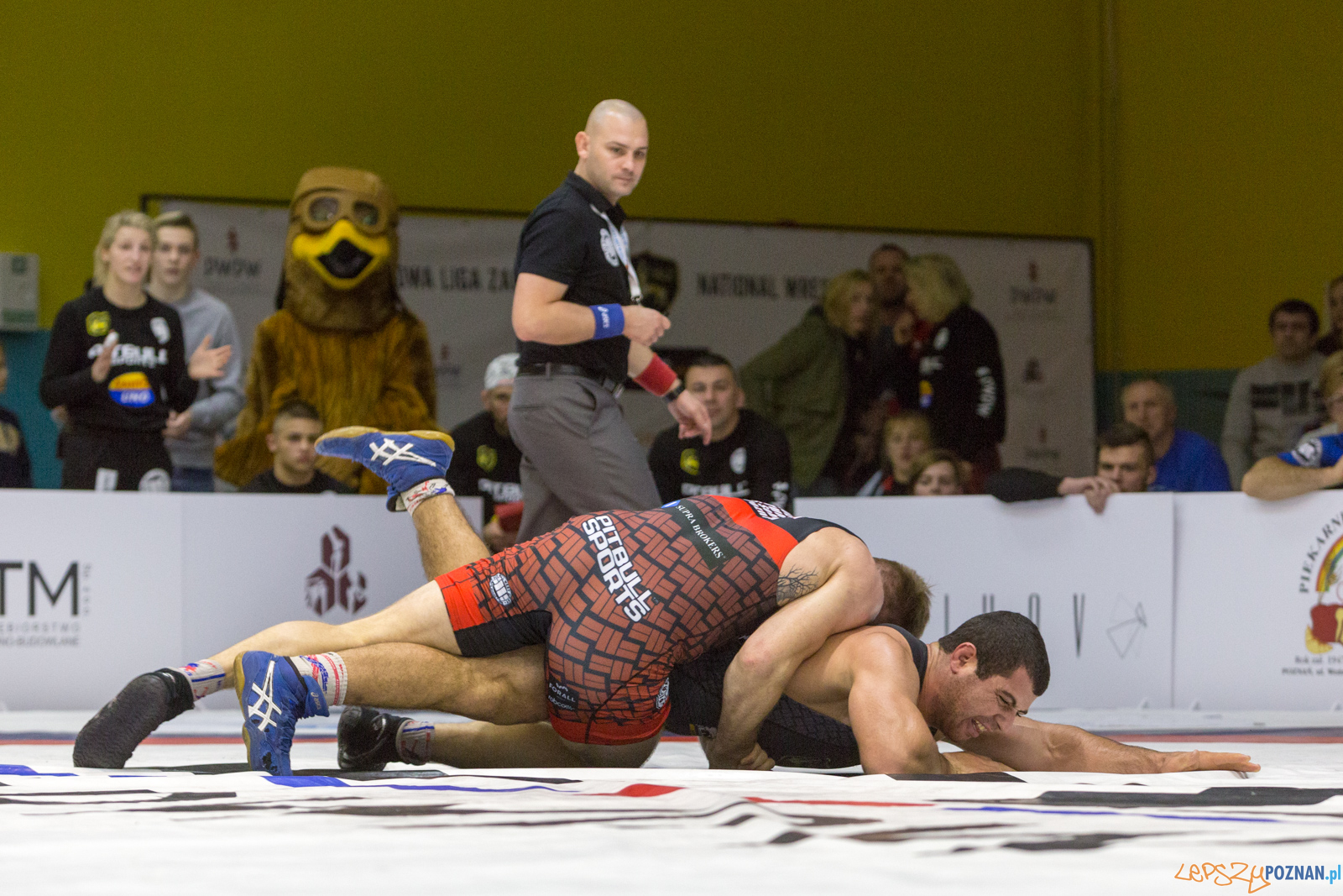 WZS WKS Grunwald – KS Sobieski Poznań - Boruta-Olimpijczyk Wr Foto: lepszyPOZNAN.pl/Piotr Rychter WZS WKS Grunwald – KS Sobieski Poznań - Boruta-Olimpijczyk Wr Foto: lepszyPOZNAN.pl/Piotr Rychter