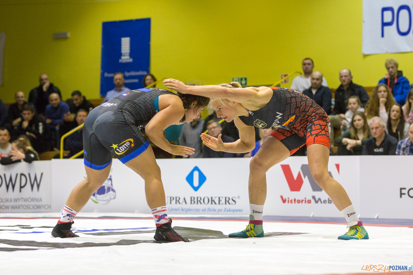 WZS WKS Grunwald – KS Sobieski Poznań - Boruta-Olimpijczyk Wr Foto: lepszyPOZNAN.pl/Piotr Rychter WZS WKS Grunwald – KS Sobieski Poznań - Boruta-Olimpijczyk Wr Foto: lepszyPOZNAN.pl/Piotr Rychter