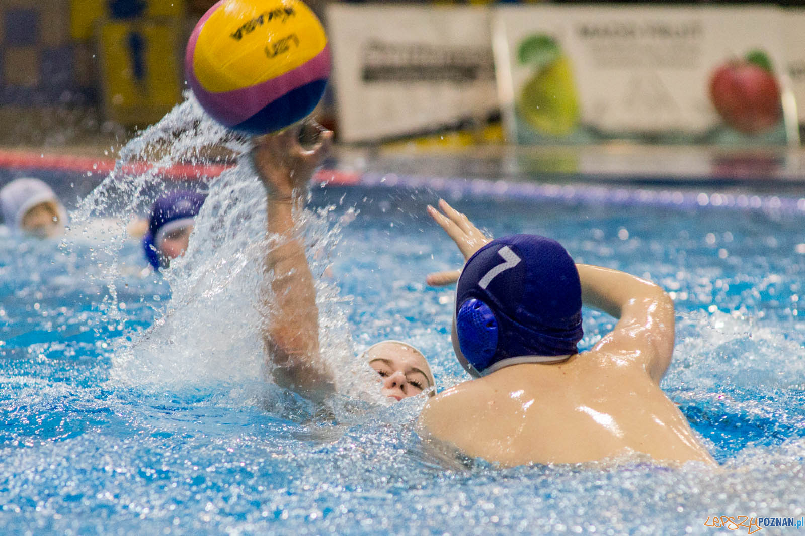 Junior Malta Waterpolo Cup 2017 Foto: lepszyPOZNAN.pl / Ewelina Jaskowiak Junior Malta Waterpolo Cup 2017 Foto: lepszyPOZNAN.pl / Ewelina Jaskowiak