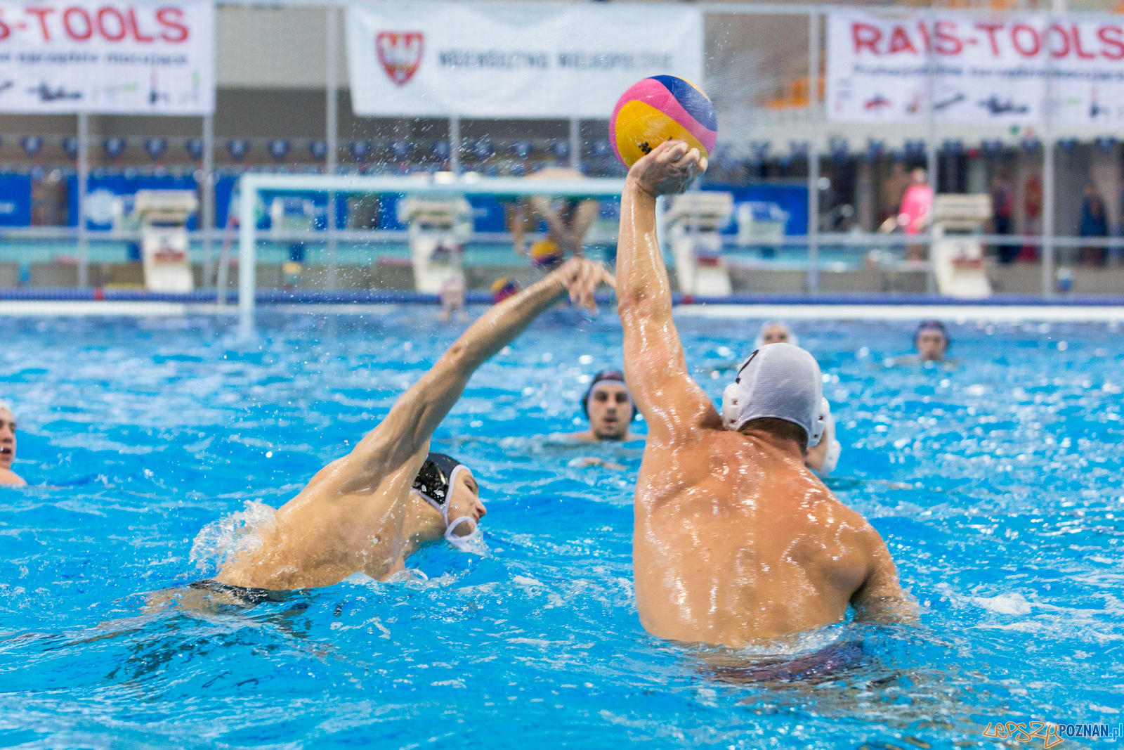 Malta Waterpolo Cup 2017 Foto: lepszyPOZNAN.pl/Piotr Rychter Malta Waterpolo Cup 2017 Foto: lepszyPOZNAN.pl/Piotr Rychter