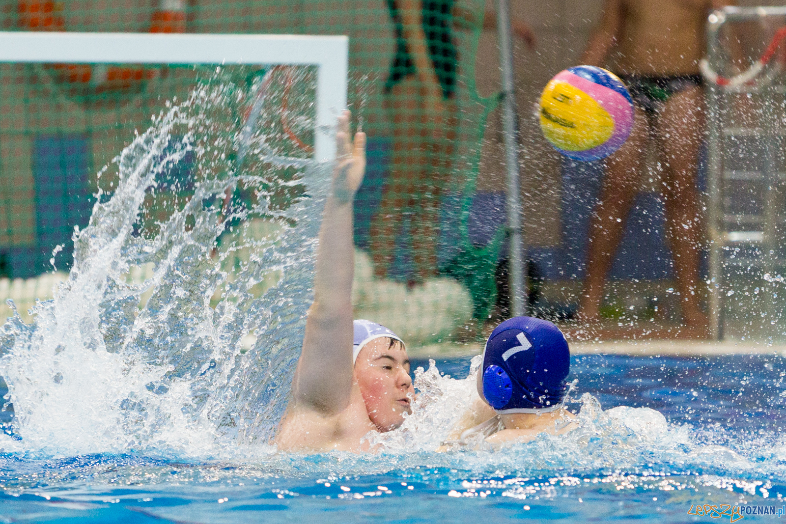 Junior Malta Waterpolo Cup 2017 Foto: lepszyPOZNAN.pl/Piotr Rychter Junior Malta Waterpolo Cup 2017 Foto: lepszyPOZNAN.pl/Piotr Rychter