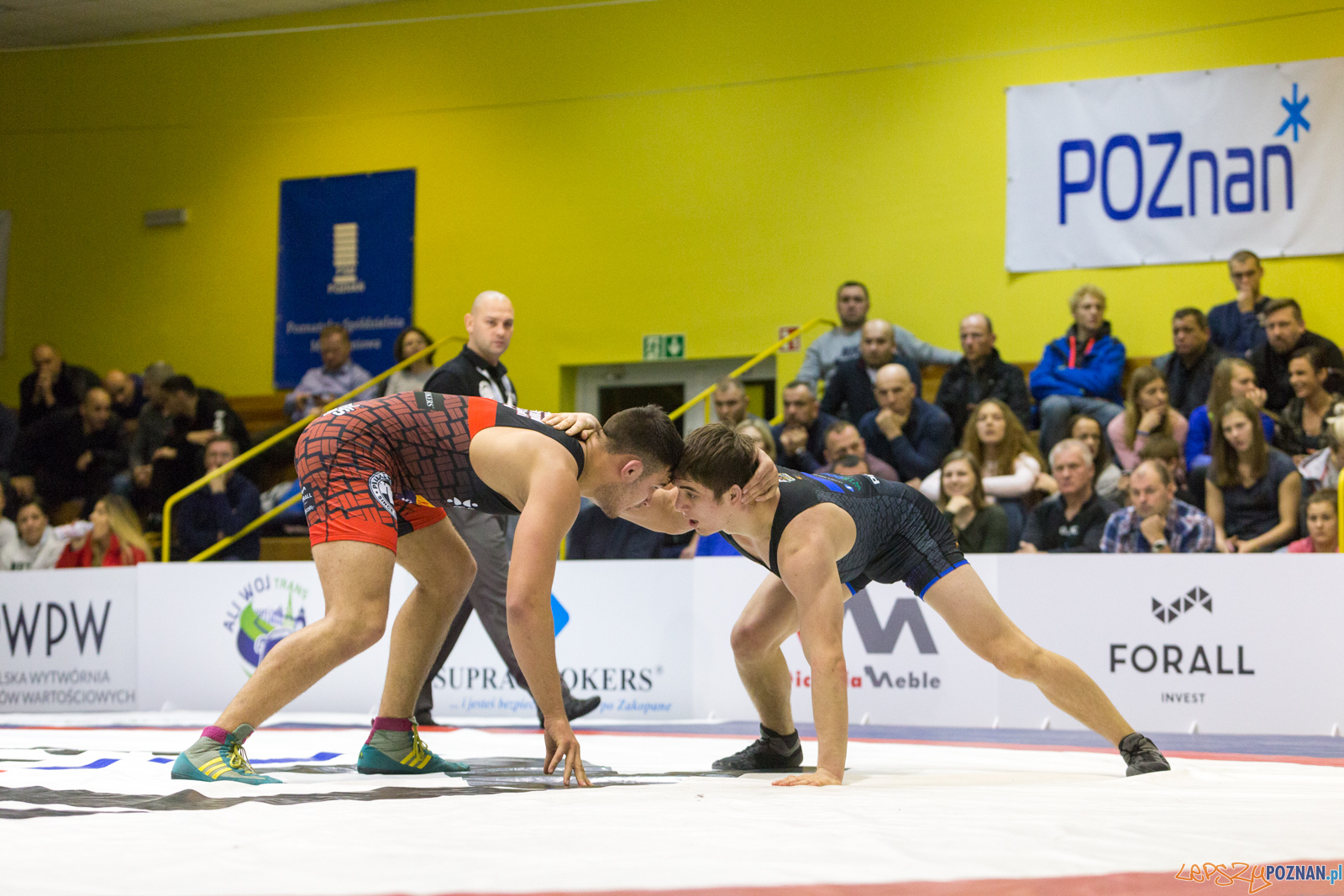 WZS WKS Grunwald – KS Sobieski Poznań - Boruta-Olimpijczyk Wr Foto: lepszyPOZNAN.pl/Piotr Rychter WZS WKS Grunwald – KS Sobieski Poznań - Boruta-Olimpijczyk Wr Foto: lepszyPOZNAN.pl/Piotr Rychter