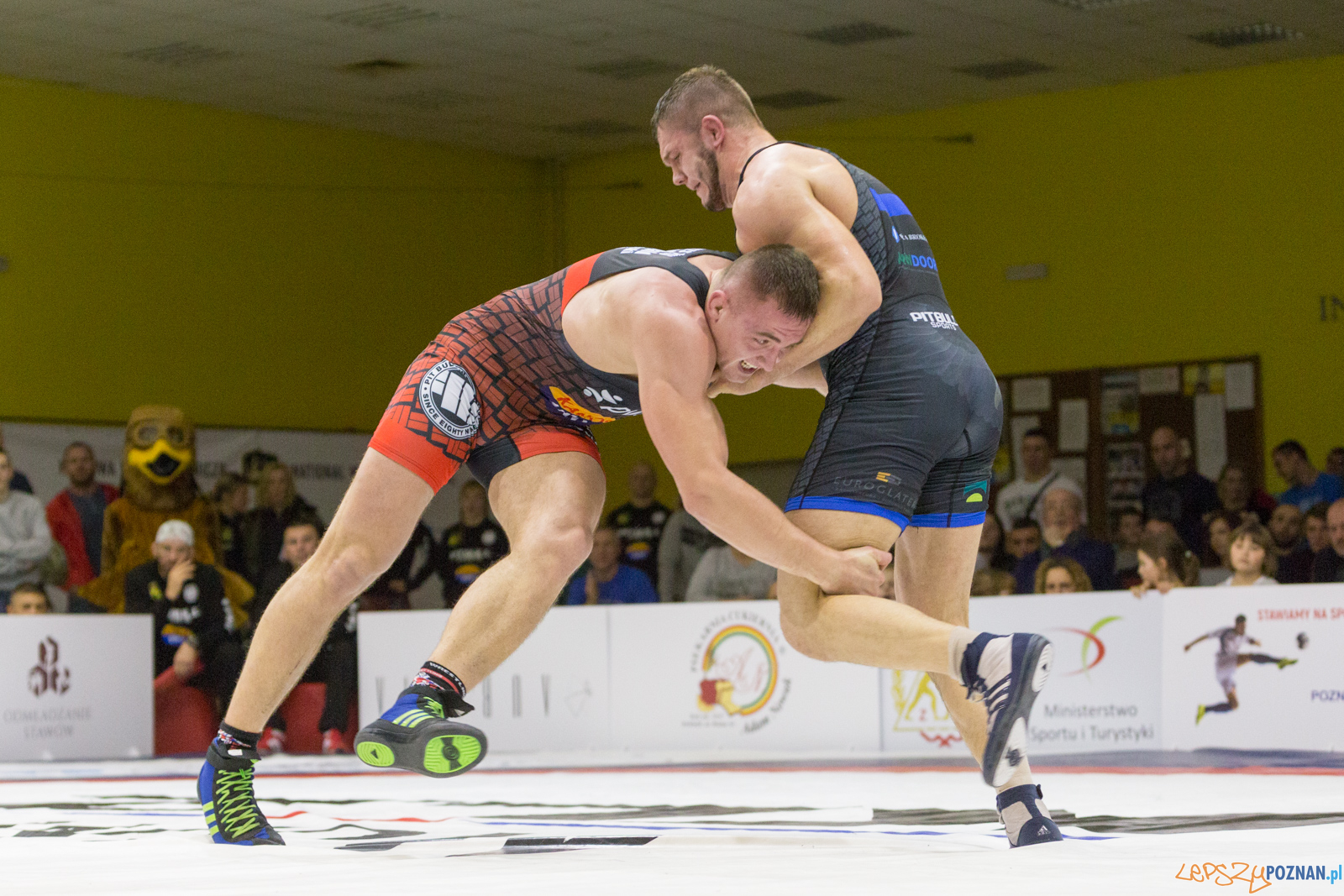 WZS WKS Grunwald – KS Sobieski Poznań - Boruta-Olimpijczyk Wr Foto: lepszyPOZNAN.pl/Piotr Rychter WZS WKS Grunwald – KS Sobieski Poznań - Boruta-Olimpijczyk Wr Foto: lepszyPOZNAN.pl/Piotr Rychter